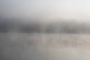 Zvirgzdu ezers. 2009. gada 4. jūlija rīts